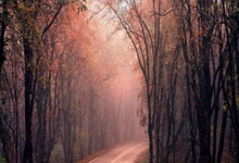 4号绝杀传统?泰山队让三追四,荡气回肠的比赛,胜利实至名归!.:蜂鸟电竞