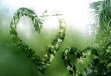 张伟丽接受《环球时报》采访:我将自己比作“哪吒”环球时报.