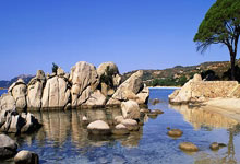 张伟丽接受《环球时报》采访:我将自己比作“哪吒”环球时报.